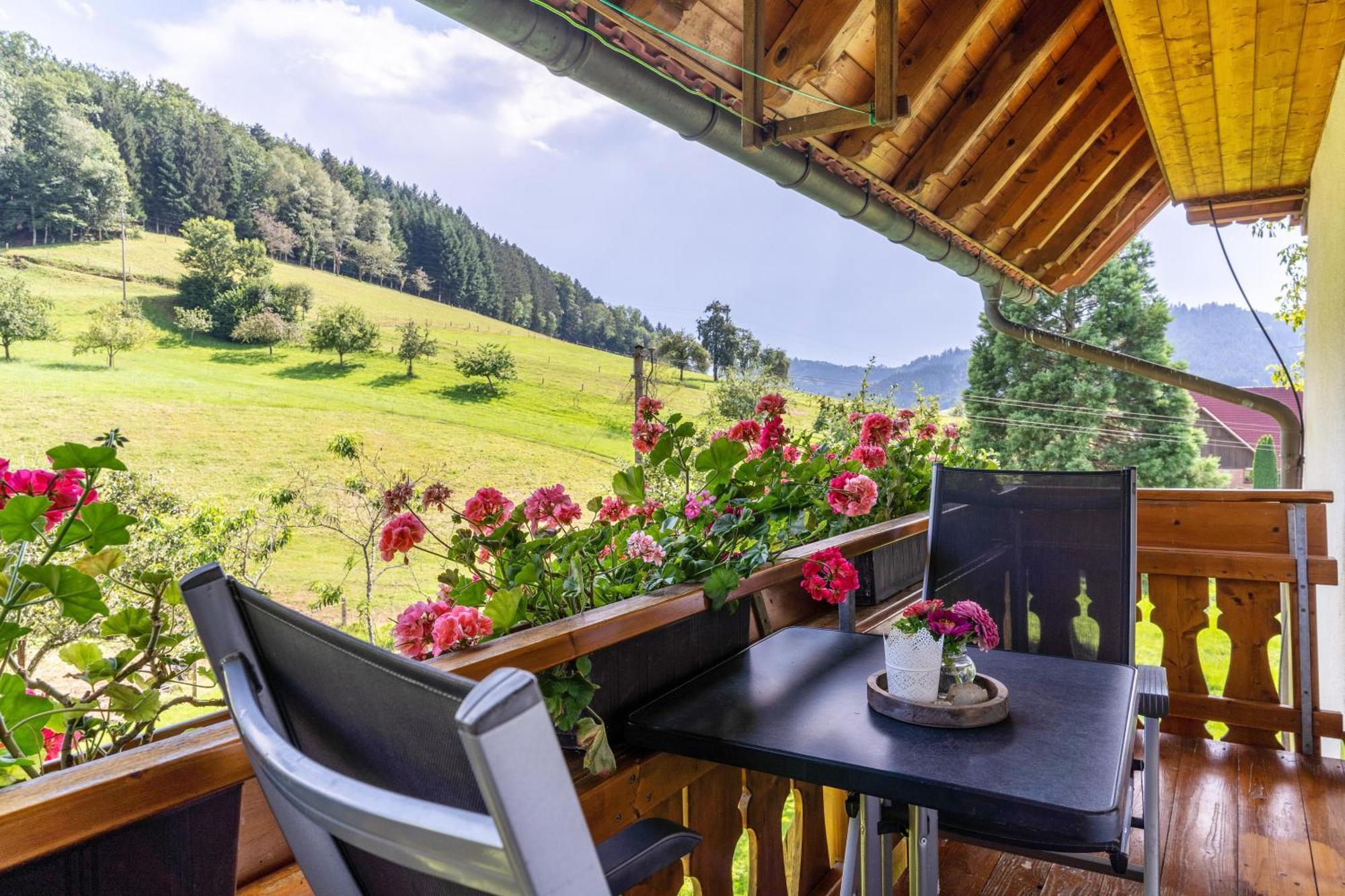 Apartment Vollmer Nordrach